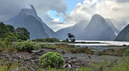 Poster - Milford Sound at evening (Fjordland, New Zealand)