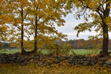 Beautiful fall season view