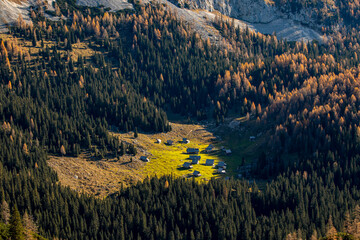 Mountain pasture Laz in autumn time	