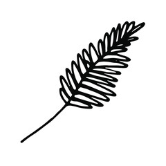 Poster - Herb digital drawing. Plant. Simple illustration. Vector image. 