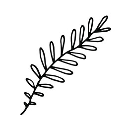 Poster - Herb digital drawing. Plant. Simple illustration. Vector image. 