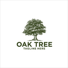 Oak Tree Logo Design Silhouette Vector