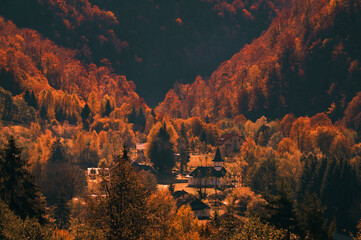 Wall Mural - the mountain autumn landscape with colorful forest