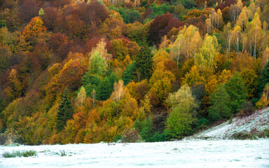 Wall Mural - the mountain autumn landscape with colorful forest