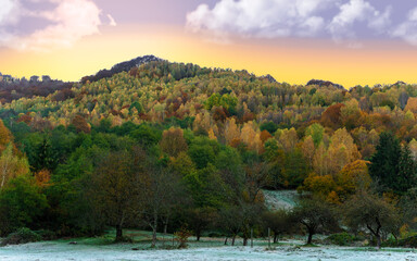 Wall Mural - the mountain autumn landscape with colorful forest