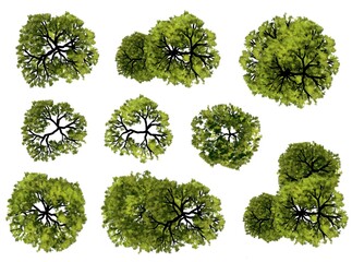 Wall Mural - collection of abstract watercolor green tree top view isolated on white background for landscape pla