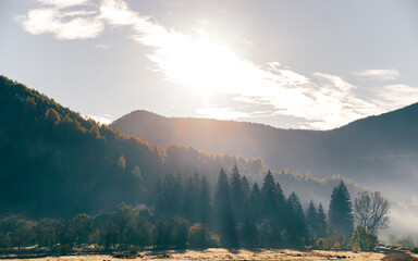 Wall Mural - the mountain autumn landscape with colorful forest