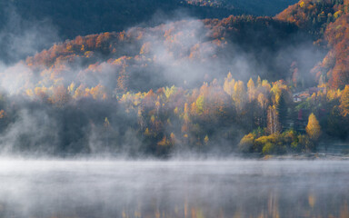 Wall Mural - the mountain autumn landscape with colorful forest