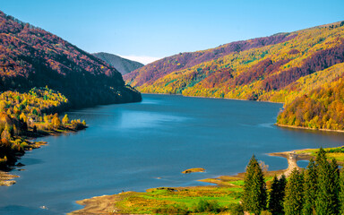 Wall Mural - the mountain autumn landscape with colorful forest