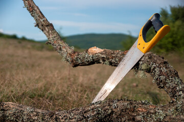 Wall Mural - Hand saw with plastic handle stands near old tree