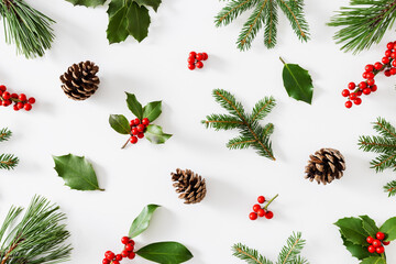 Collection of decorative Christmas plants with green leaves and holly berries.