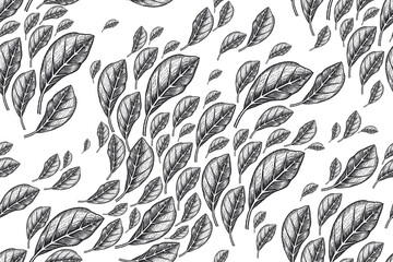  Black and white background. Seamless pattern. Vector.