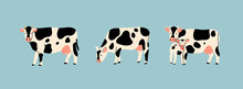 Set Of Three Various Cute Cows. Black And White Colors. Hand Drawn Colored Trendy Vector Illustrations. Funny Characters. Cartoon Style. Isolated On Blue Background