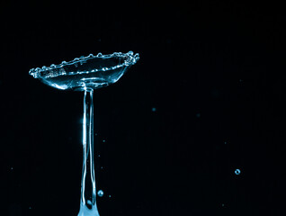 Wall Mural - water splash crown. drop collision on black background