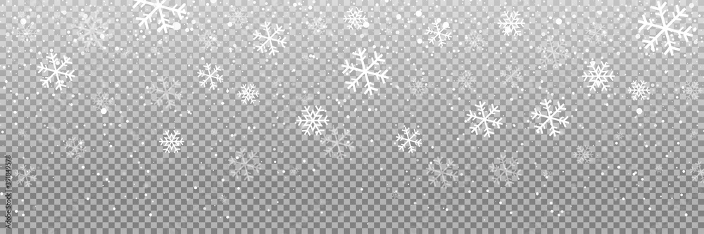 Falling snow on a transparent background. Snow. Snowfall, snowflakes in different shapes and forms. Snowfall isolated on transparent background. Vector illustration - obrazy, fototapety, plakaty 