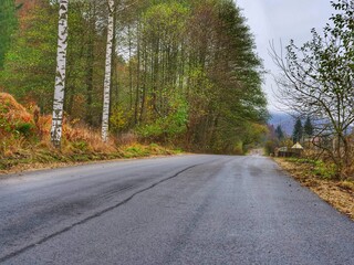 Poster - road in autumn forest