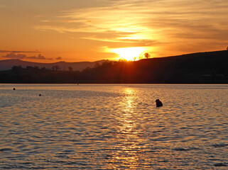 Wall Mural - Sunset over the River Teign, Devon