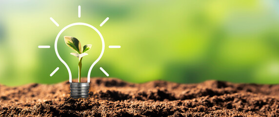 ecological friendly and sustainable environment