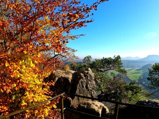 Wall Mural - Elbsandsteingebirge Sächsische Schweiz im Herbst Basteibrücke Schwedenlöcher