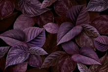 Metallic Purple Leaves Textured Background