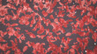 Red Blood Cells Anemia Concept destroyed red blood cells field 3d rendering