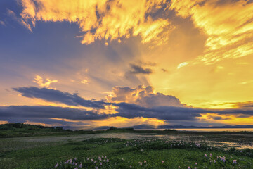  Sunset scenery in the wetland park