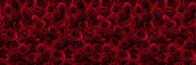 Seamless Pattern With Red Roses Flower Wall