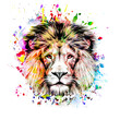 lion head isolated on color background