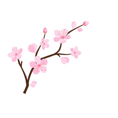 pink cherry blossoms branch icon on white background vector illustration. japanese sakura flower.