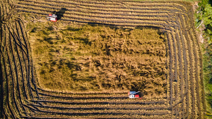 Aerial view on the combine harvester working on the large rice field in thailand.