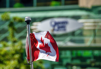 Sticker - Waving canadian flag with green trees background