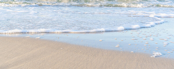 the waves of the sea on the sandy beach on a sunny day