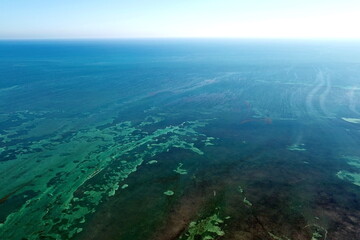 Canvas Print - Tropical Sea Floor around Florida Keys