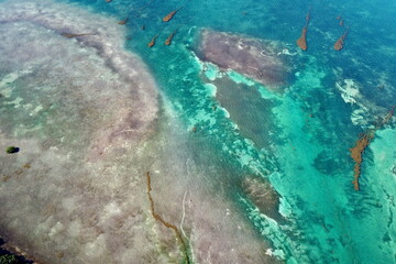 Canvas Print - Tropical Sea Floor around Florida Keys