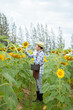 © 2B - Farmer examining crop of sunflowers in field