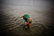 © Cavan Images - Six Year Old Standing & Reaching into Coronado Bay