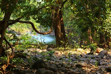 Mountain river. State Of Goa. India