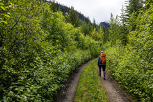 Back View Of Unrecognizable Tourist With Backpack Walking Alone On Narrow Path Leading Through Green Lush Forest During Hiking In Summertime In British Columbia