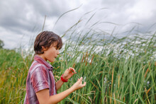A Boy Stands By Tall Grass On A Cloudy Day Playing A Reed As Flute