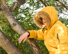 White Boy Wearing A Yellow Coat With A Hood With Hair At The End That Hides His Face. The Kid Has Climbed A Tree And He Is Amongst Branches And Green Leaves. Horizontal Photo