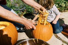 Little Girl Carving Out Pumpkins For Halloween With Her Dad