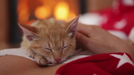 Wall Mural - Orange tabby kitten sleep lying on woman chest resting head on paws - enjoy the fondling and the warmth of the fireplace, close-up, static camera