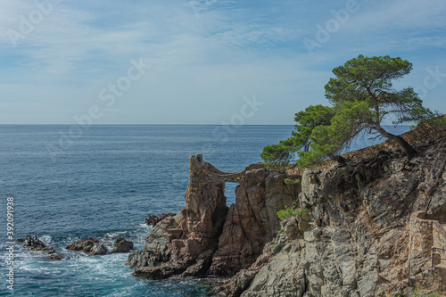 Cuadros en Lienzo Seascape. Sea rocky shore with a lone tree on the mountainside