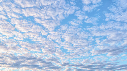 Wall Mural - altocumulus clouds in the sky