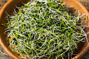 Sticker - Raw Green Organic Onion Sprouts