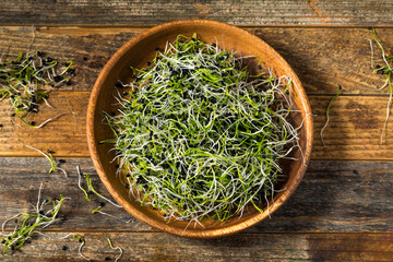 Sticker - Raw Green Organic Onion Sprouts