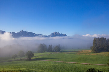 Wall Mural - Blick auf die Ammergauer Alpen