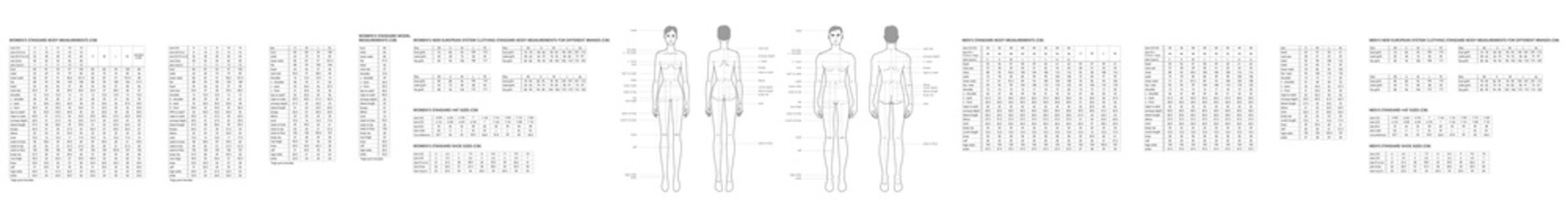 Set of men and women body parts terminology measurements and size charts Illustration for clothes and accessories production fashion 9 head male and female size chart. Human body infographic template