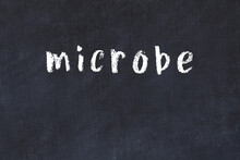 College Chalk Desk With The Word Microbe Written On In