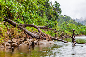 Poster - Costa Rica,  the border with Panama is the Rio Yorkin. The only way to visit the indian people is a trip by boat.